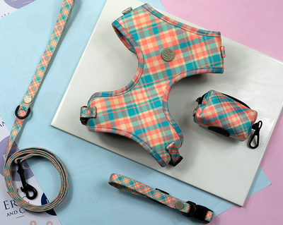 Blue and Pink Check Harness set