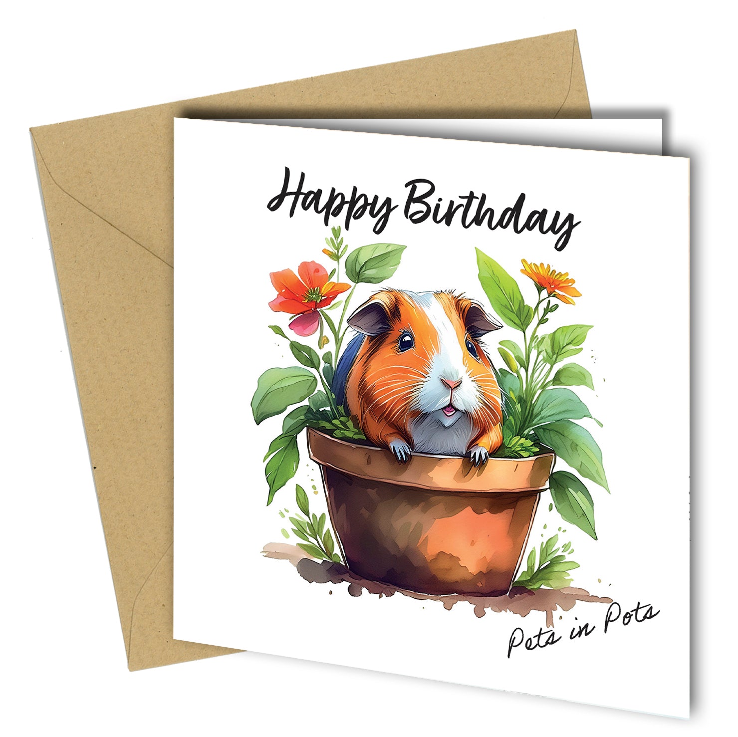 Pets in Pots Birthday Cards