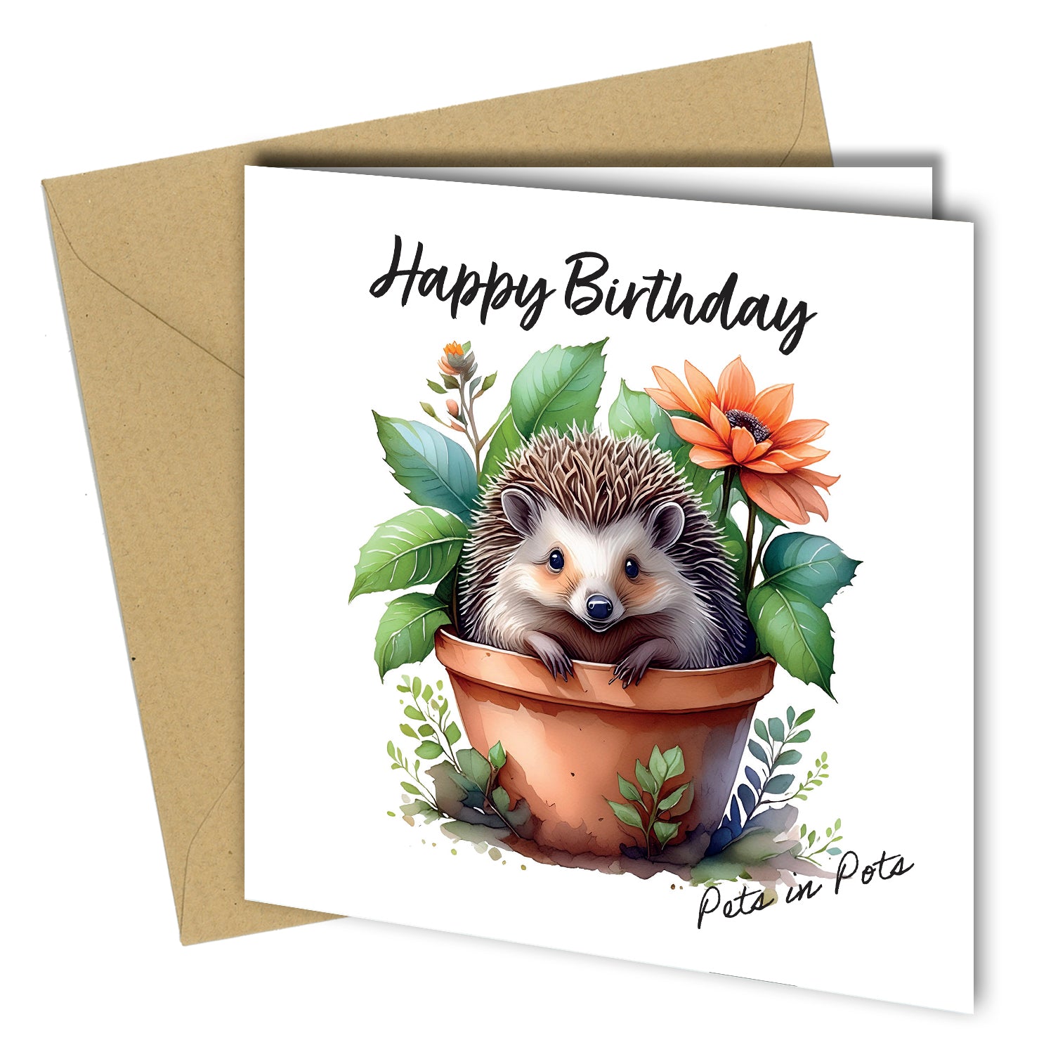 Pets in Pots Birthday Cards