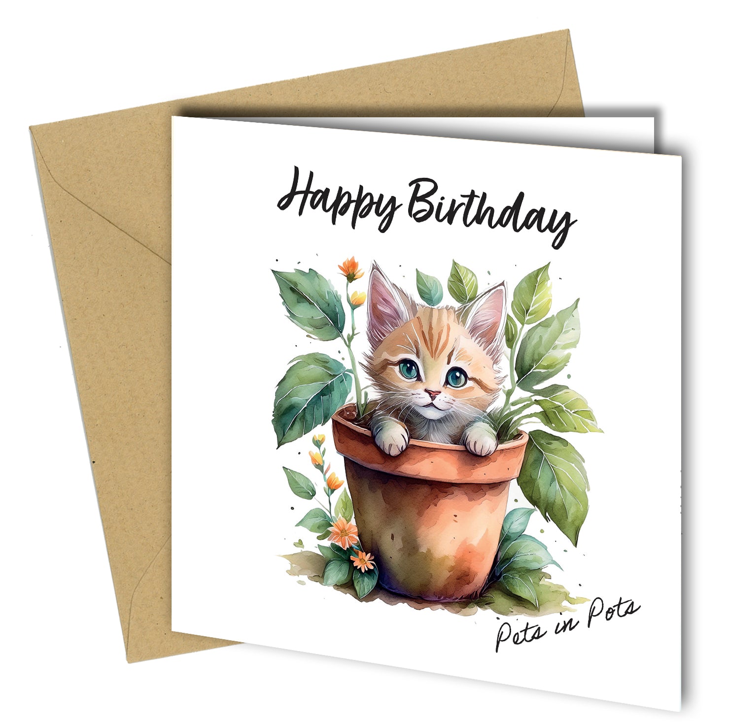 Pets in Pots Birthday Cards