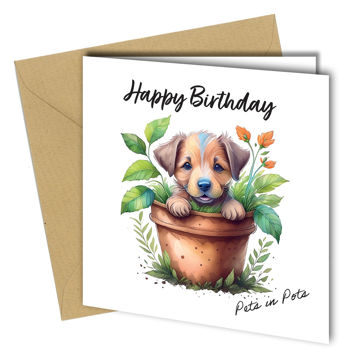 Pets in Pots Birthday Cards