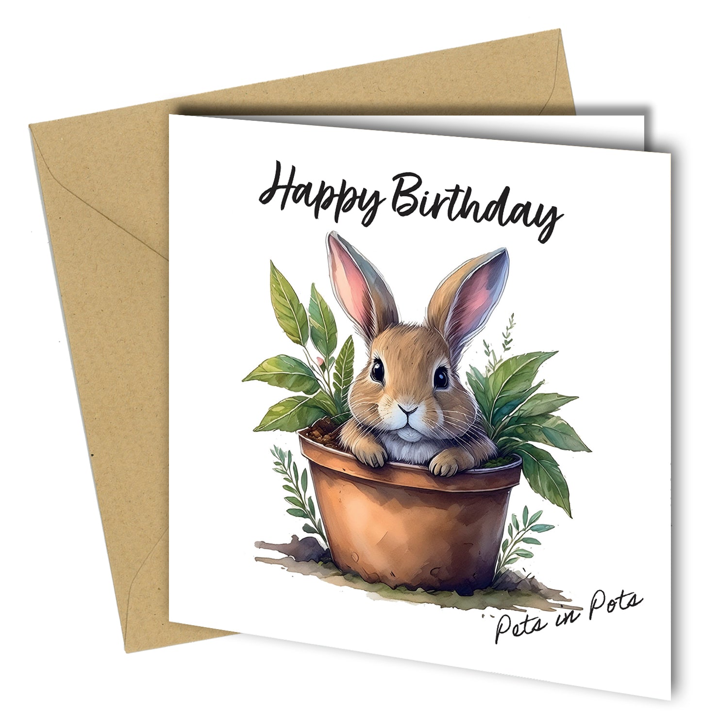 Pets in Pots Birthday Cards