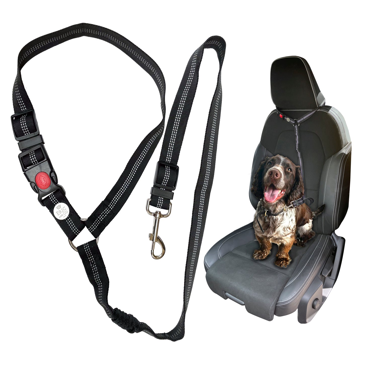 E001 - Headrest Seatbelt