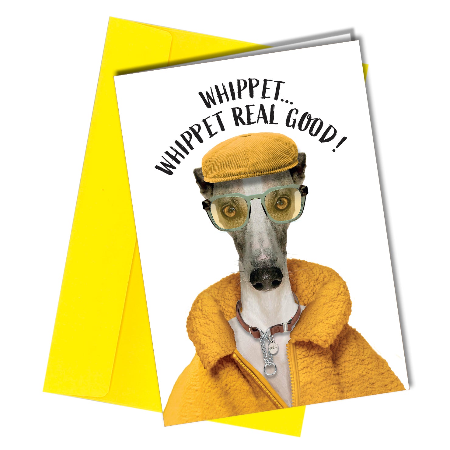 #170 Whippet Real Good!