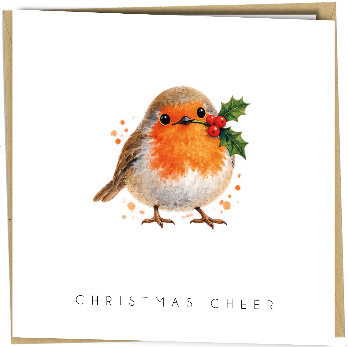 Pack of 10 Robin Christmas Cards | Watercolour Festive Bird Designs - cb117