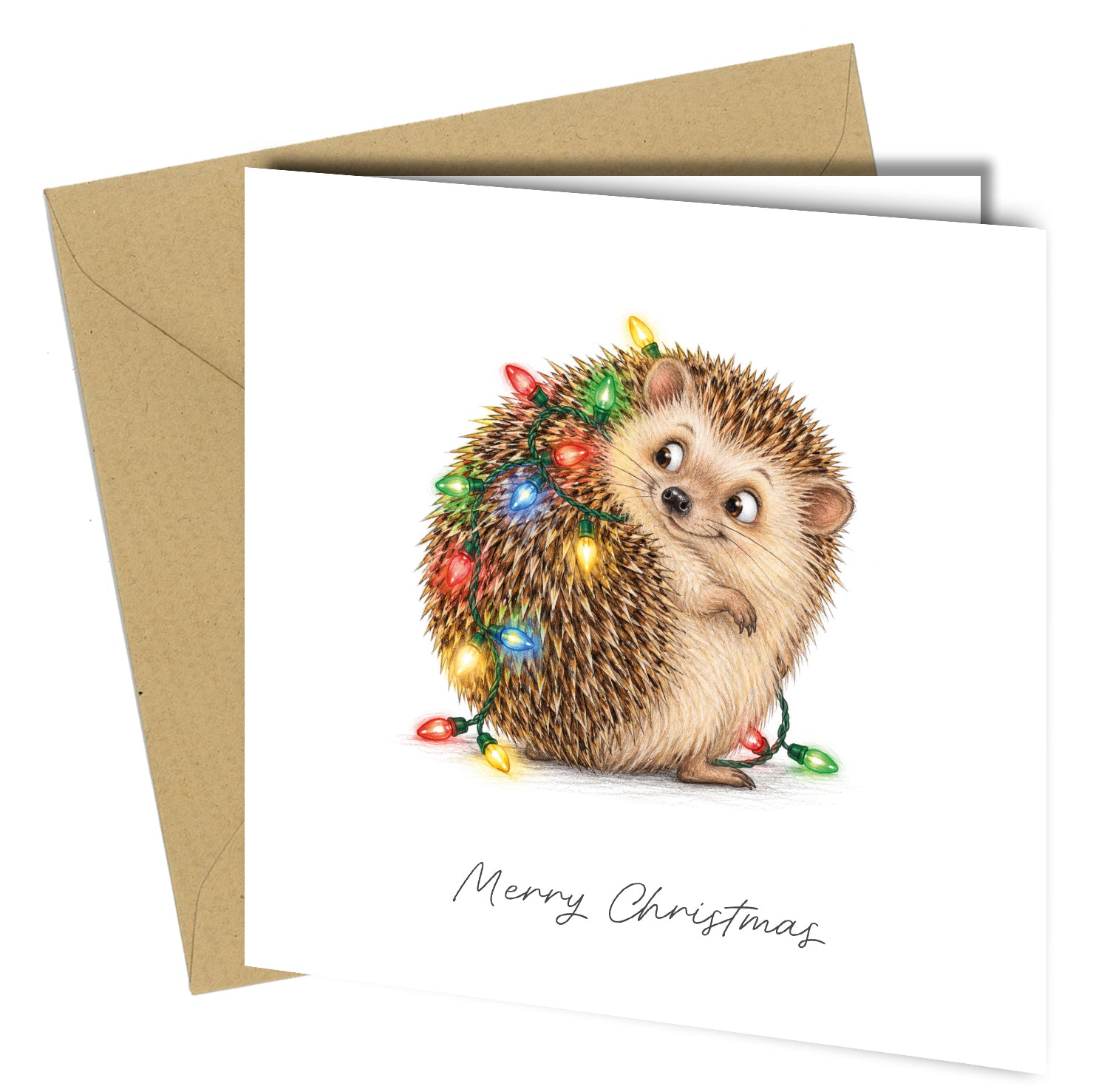 Pack of 10 Funny Animal Christmas Cards Assorted Festive Designs - cb127