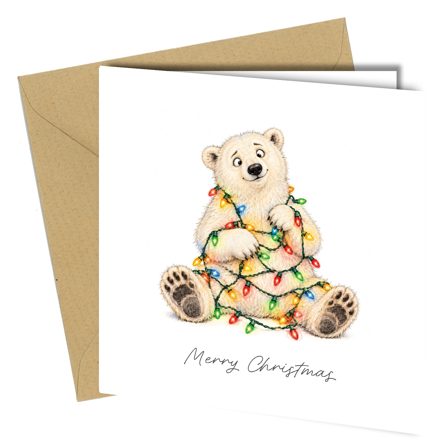 Pack of 10 Funny Animal Christmas Cards Assorted Festive Designs - cb127