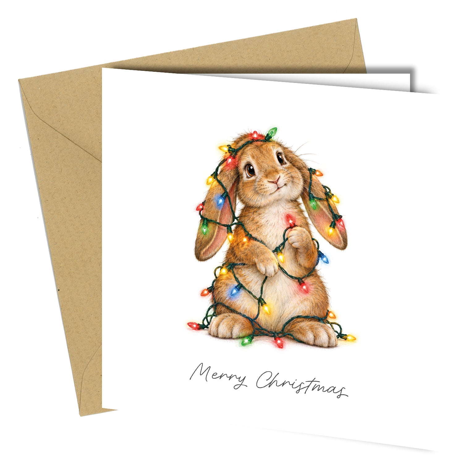 Pack of 10 Funny Animal Christmas Cards Assorted Festive Designs - cb127