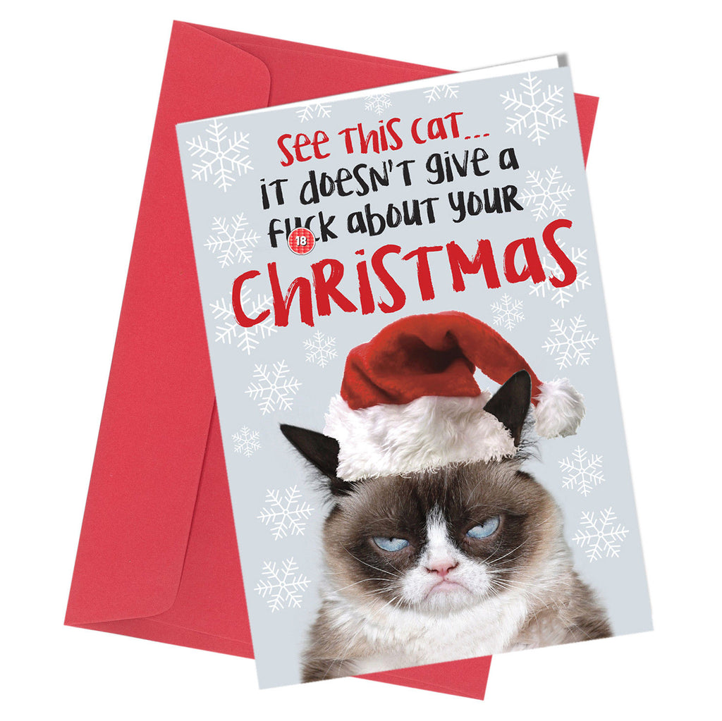 #363 CHRISTMAS CARD Rude Greeting Card funny humour joke / See this Cat - Close to the Bone Greeting Cards