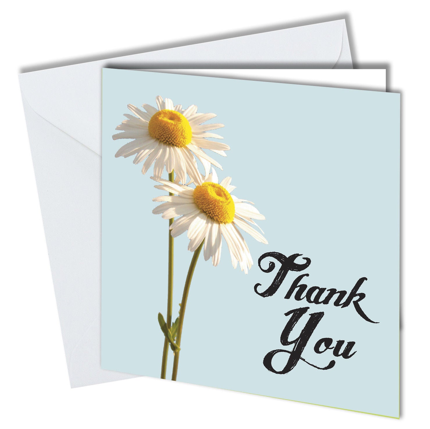 #734 Pack 6 Thank You Cards