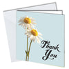#734 Pack 6 Thank You Cards - Close to the Bone Greeting Cards