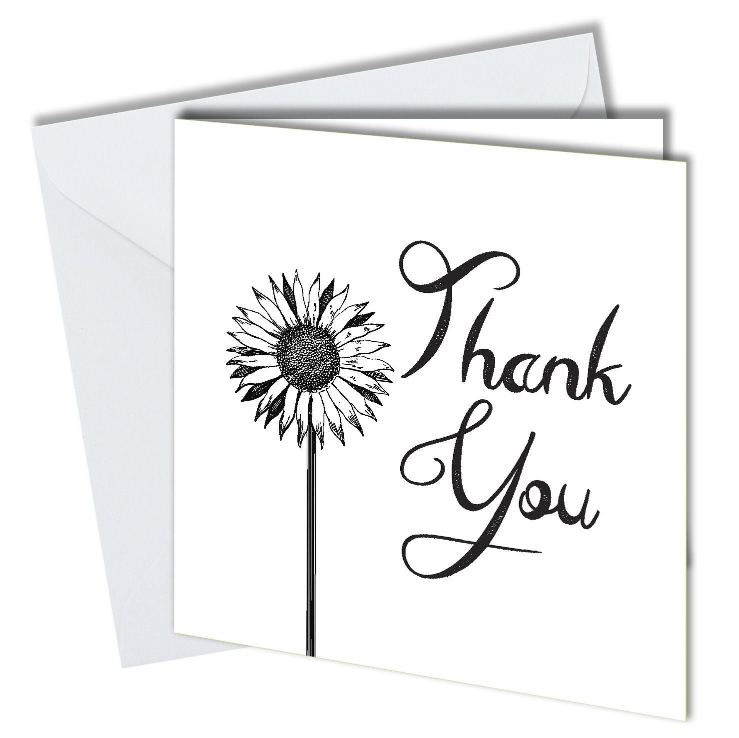 #734 Pack 6 Thank You Cards